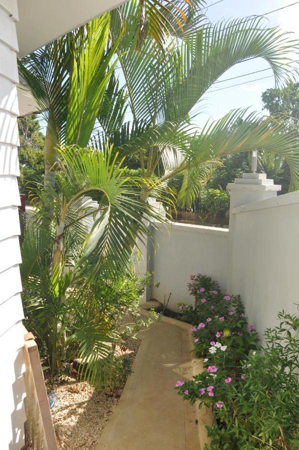 Flying Annie Moa Bed & Breakfast Neiafu Exterior photo